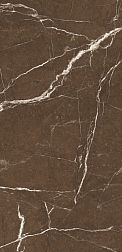 Flavour Granito Brown Wonser High Glossy Коричневый Полированный Керамогранит 60x120 см