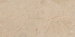 Art&Natura Ceramica Una Pietra Camel Glossy Бежевый Глянцевый Керамогранит 60x120 см