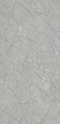 Flavour Granito Fiorite Grey Glossy Серый Полированный Керамогранит 60x120 см