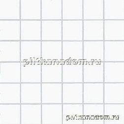 Rako Color Two GDM05052 Мозаика 5x5 30x30 см