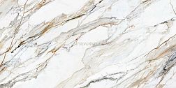 Arklam Calacatta Paonazzo Hond Керамогранит 120x300 см