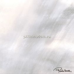 Roberto Cavalli Tanduk GRIGIO LAPP RETT FIRMA Декор 60x60 см