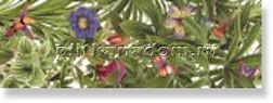 Maritima Ceramics Robinson СБ038 Cenefa Бордюр 10х30 см