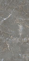 Flavour Granito Glacier Almond Серый Полированный Керамогранит 60x120 см