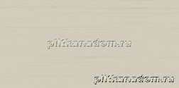 Rako Easy WATMB061 Grey Настенная плитка 20х40 см