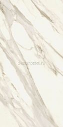 Atlas Concorde Marvel Meraviglia Calacatta Bernini Lapp. 6 mm Белый Лаппатированный Керамогранит 60x120 см