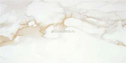 Stylnul (STN Ceramica) Camile Gold Sat Rect Бежевый Матовый Ректифицированный Керамогранит 60х120 см