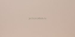 Grasaro City Style G-110-MR Бежевый Matt. Керамогранит 60x120 см