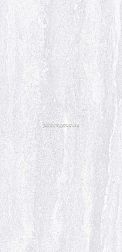 Flavour Granito Delmon Grey Glossy Серый Полированный Керамогранит 60x120 см