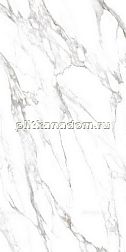 Simpolo Ceramics Carrara Dove high glossy Керамогранит 79,8х159,8 см