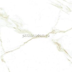 Emotion Ceramics Naos Gold Brillo Керамогранит 60,5x60,5