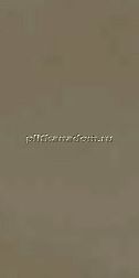 Casalgrande Padana R- Evolution Terra Керамогранит 90x180 см